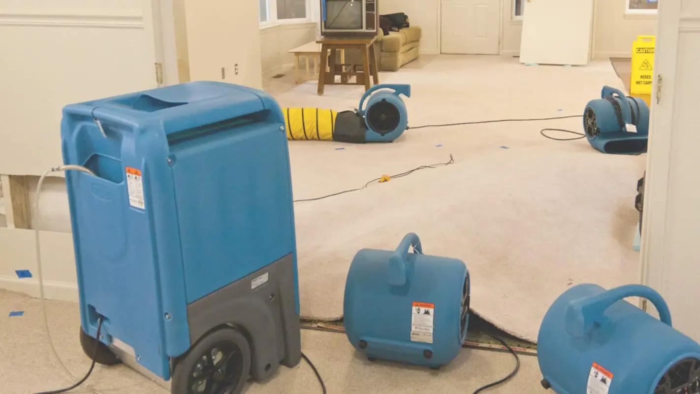 End Your Search For Water Mitigation Company Near Me Here