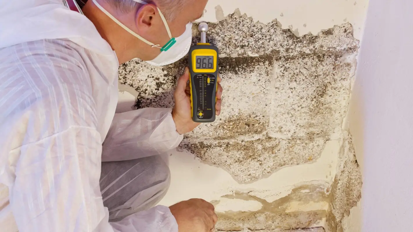 First Line Of Defense With Our Mold Testing Services