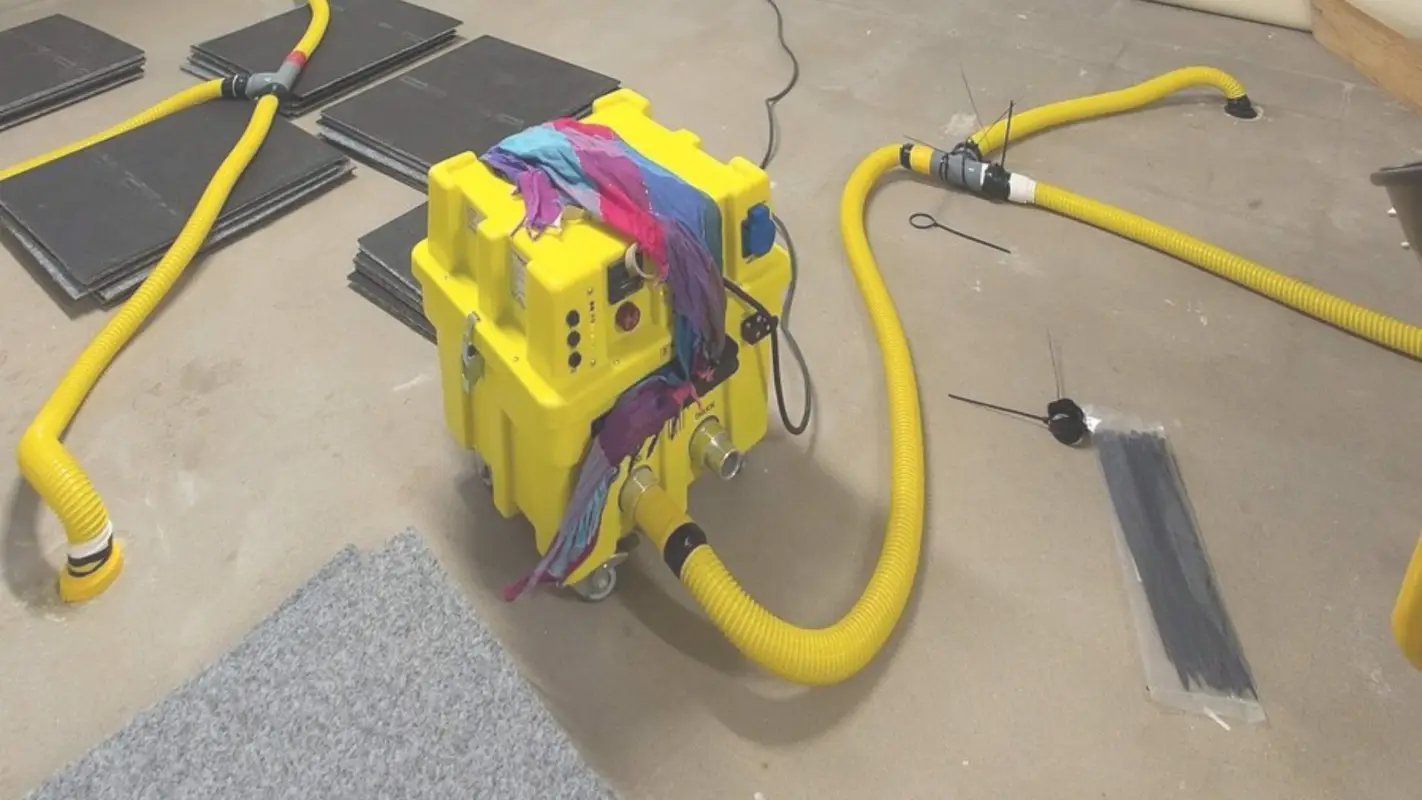 Unparalleled Expertise In Water Damage Restoration Service