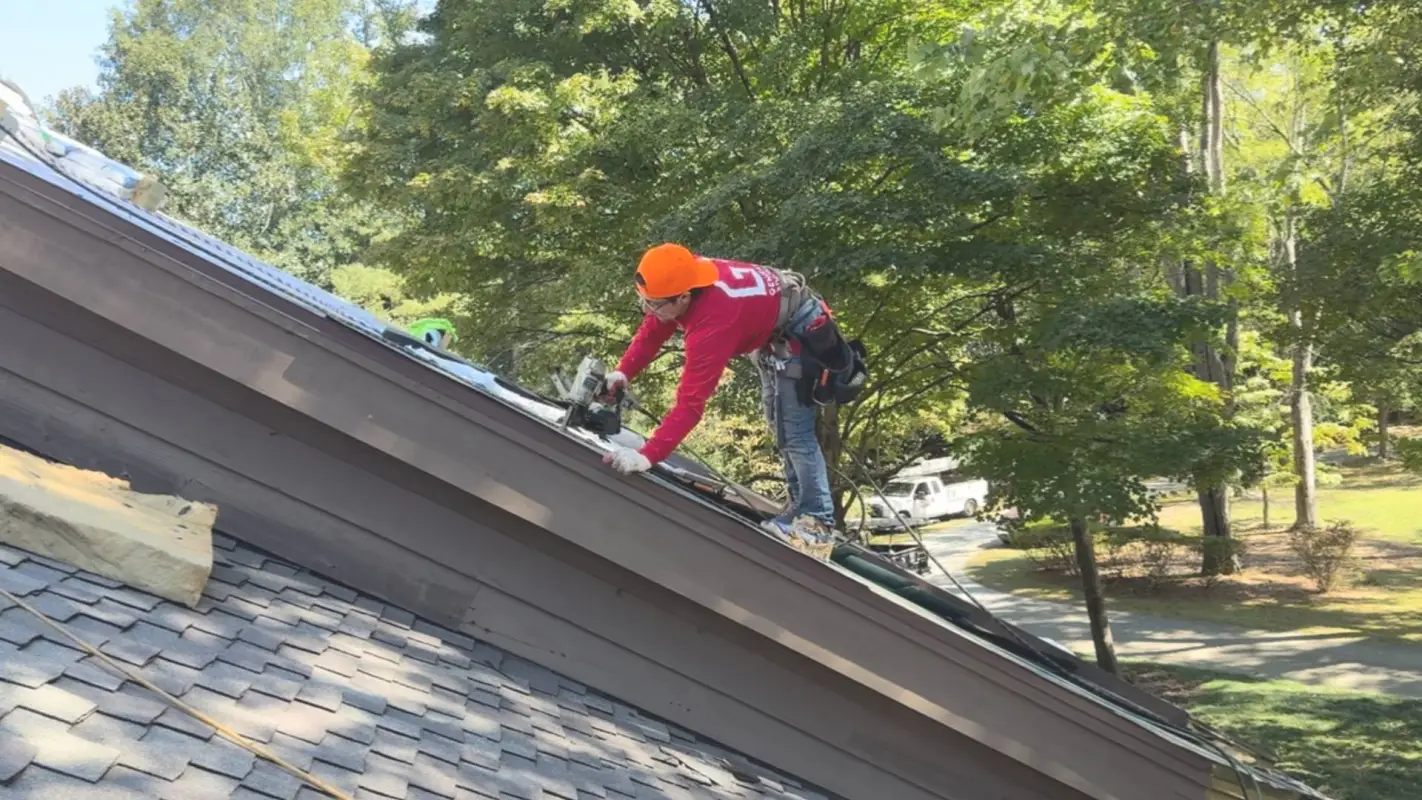 Roof Repair Services To Roofing Solutions Tailored To You