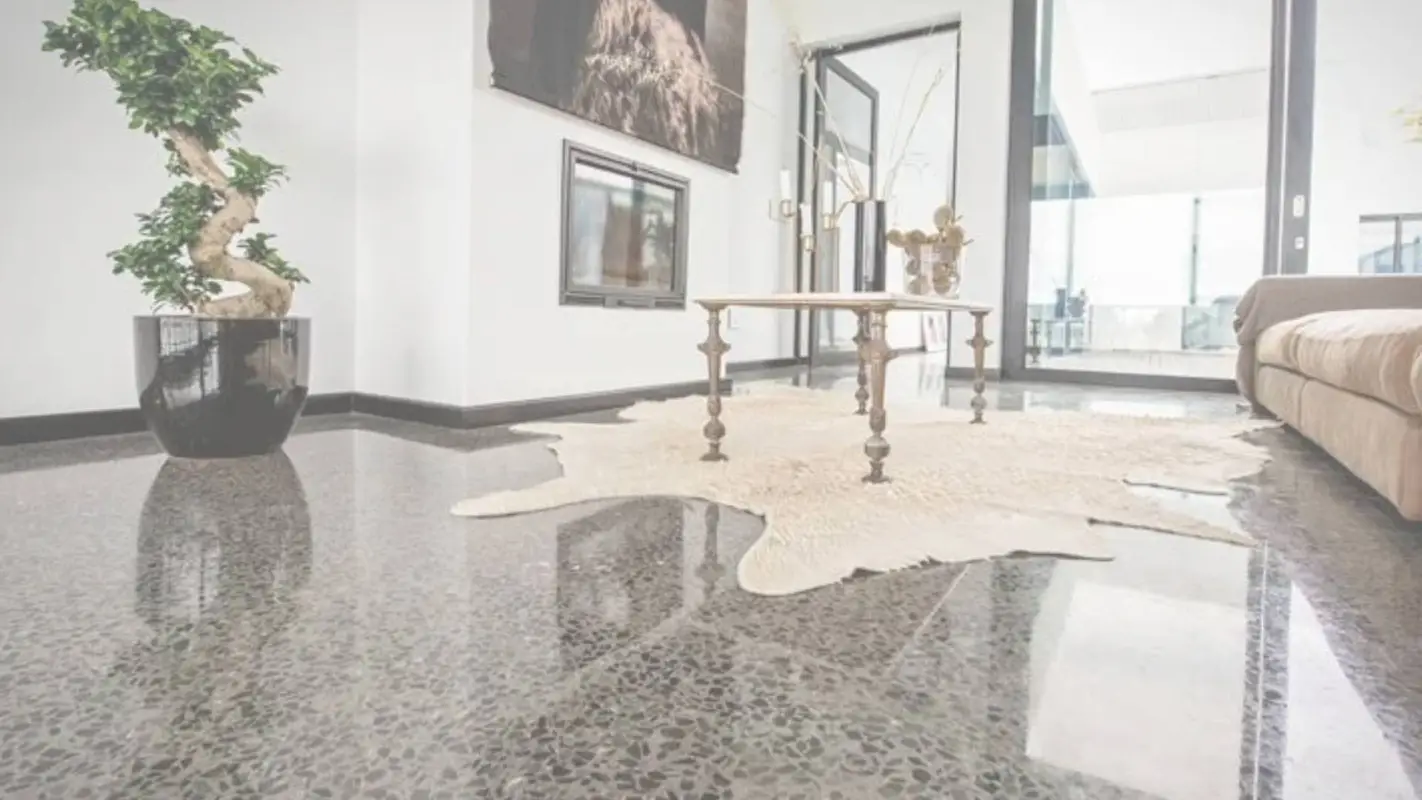 Polished Concrete Services, Design to Upgrade Your Space