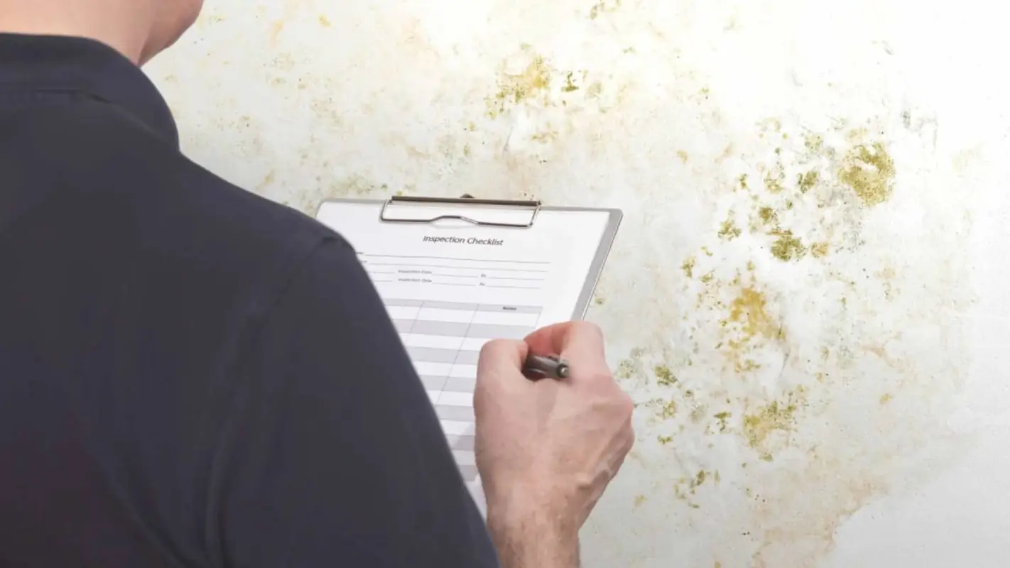 Looking for Mold Inspection services near me? Rely on us