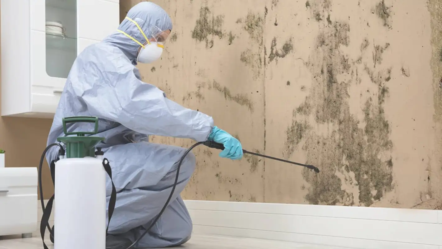 Mold Remediation Services To Get Molding Solutions For Modern Needs