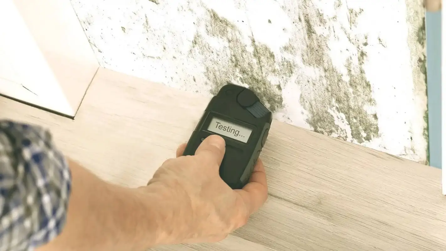 Air Quality Mold Testing to Protect Your Home and Health