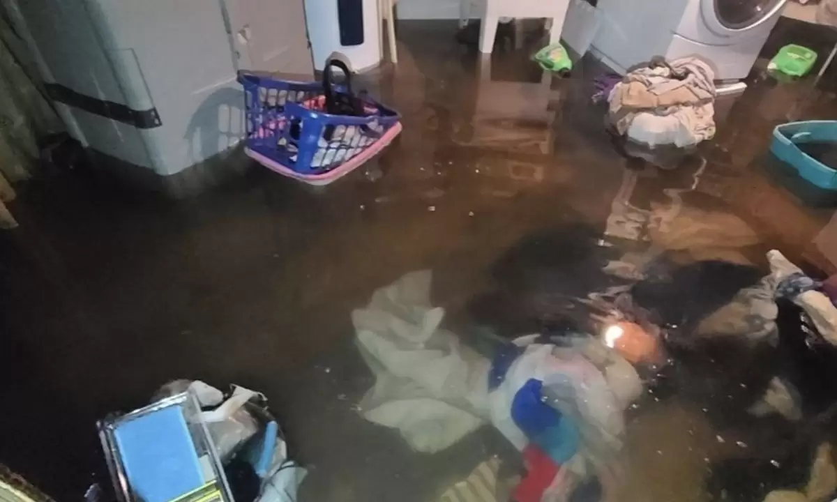 From Flooding to Fresh Start, Get Our Water Damage Restoration Services