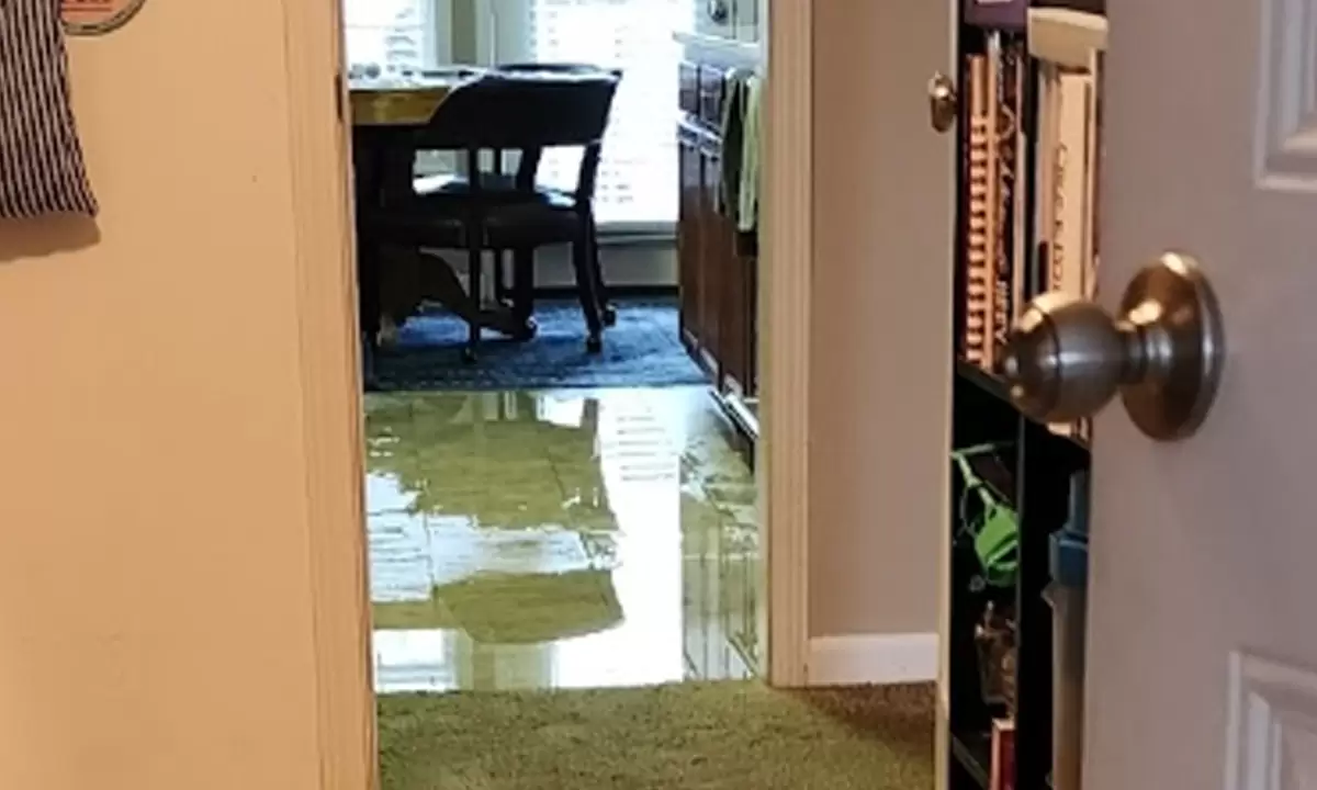 Experience Unparalleled Flood Damage Cleanup Services Today