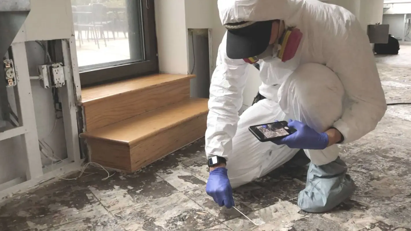 Mold Inspection And Testing: Excellence Promised In Each Detail