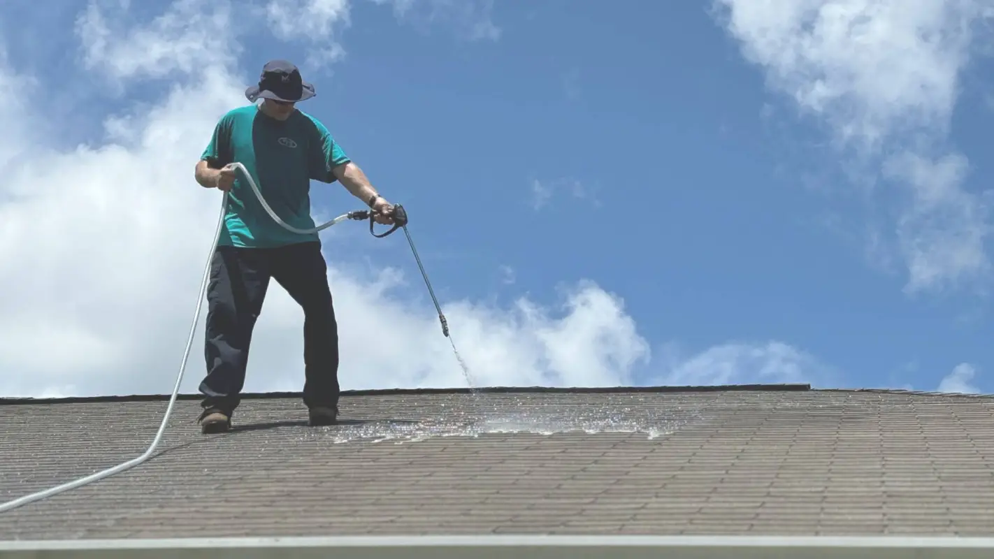 Roof Rejuvenation Services to Prevent Costly Damage