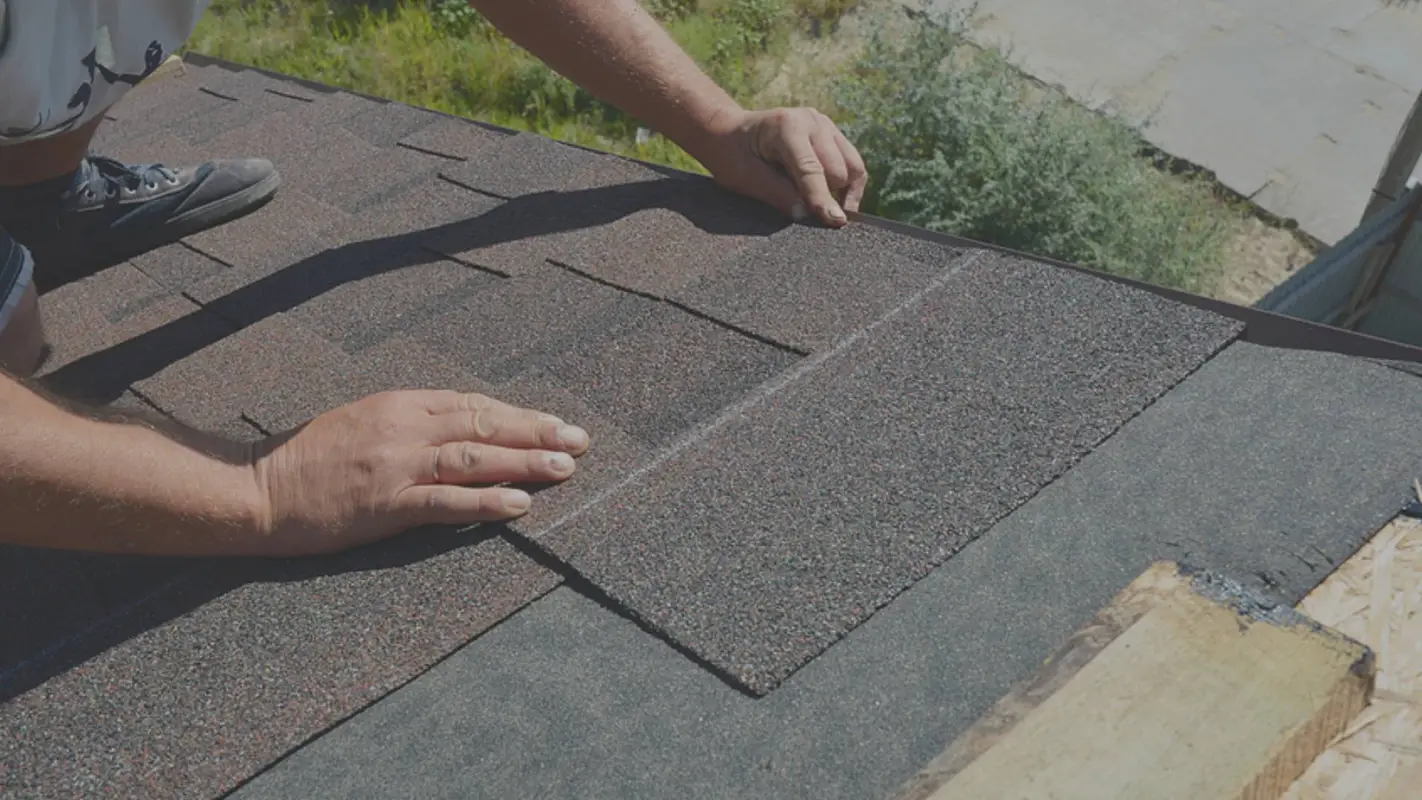 Roof Repair Contractors Are Your Go-To Choice