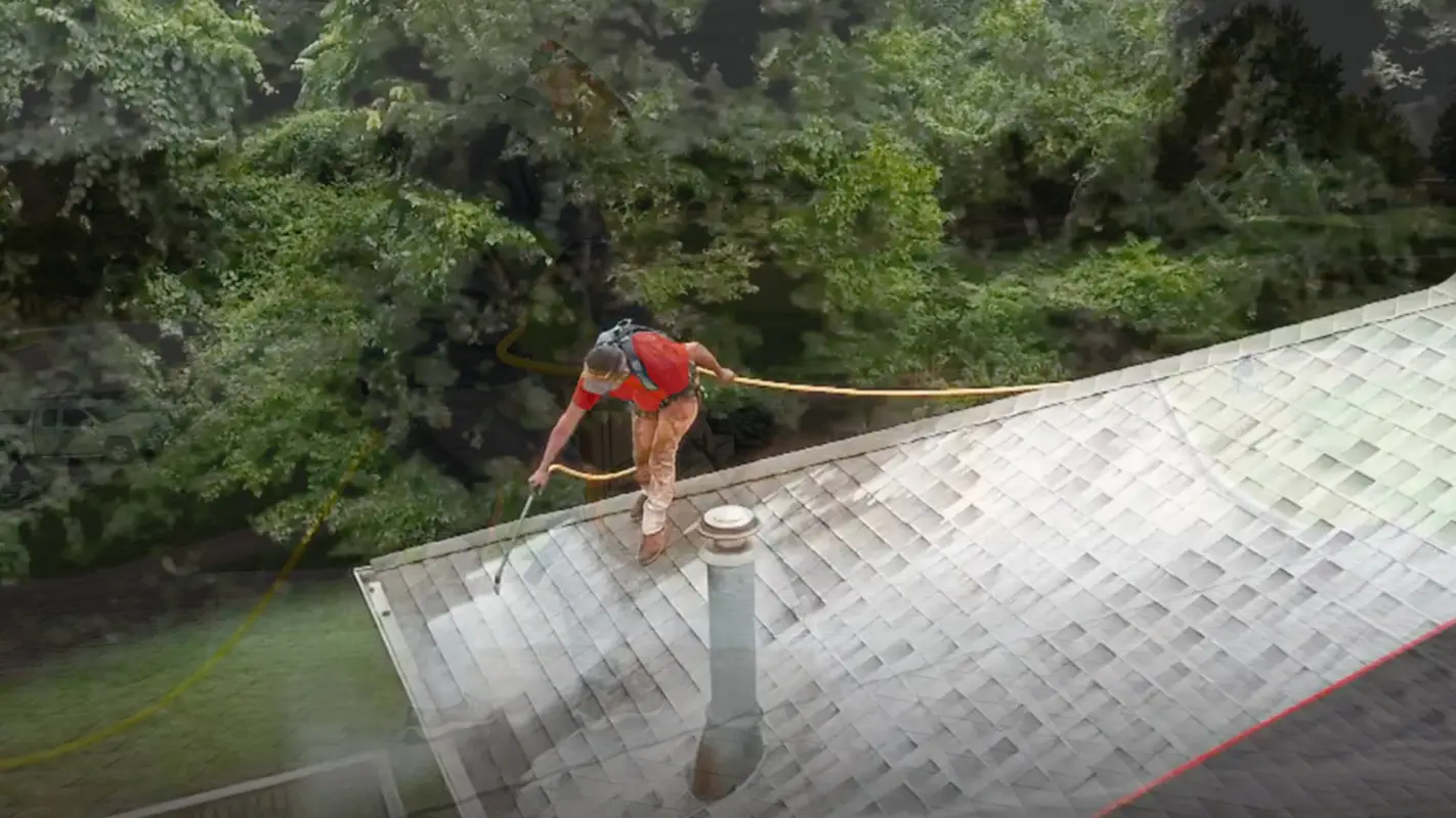 Affordable Roof Rejuvenation Services Offer the Smart Choice for Your Home
