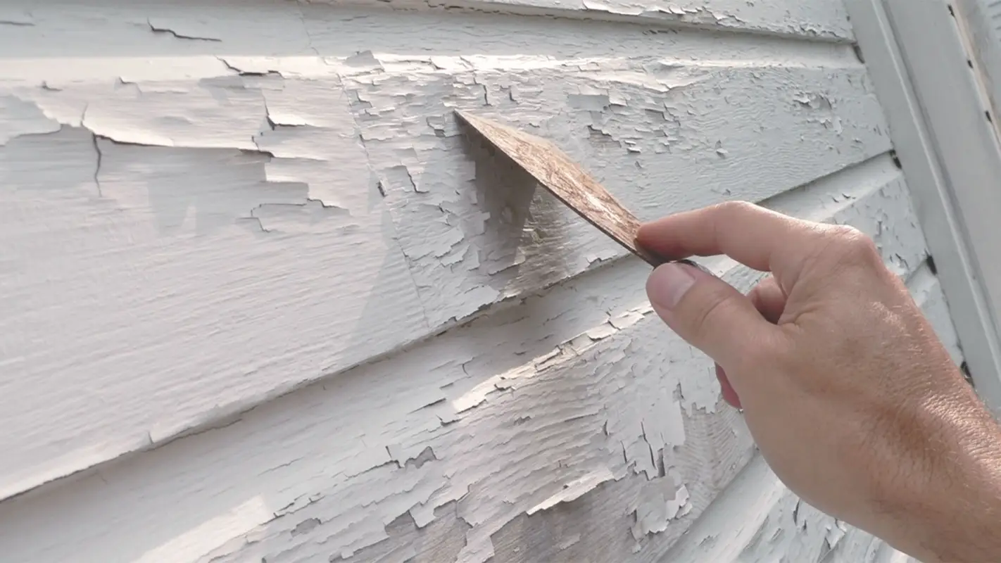 Lead Paint Removal Contractors Are Your Trusted Partners