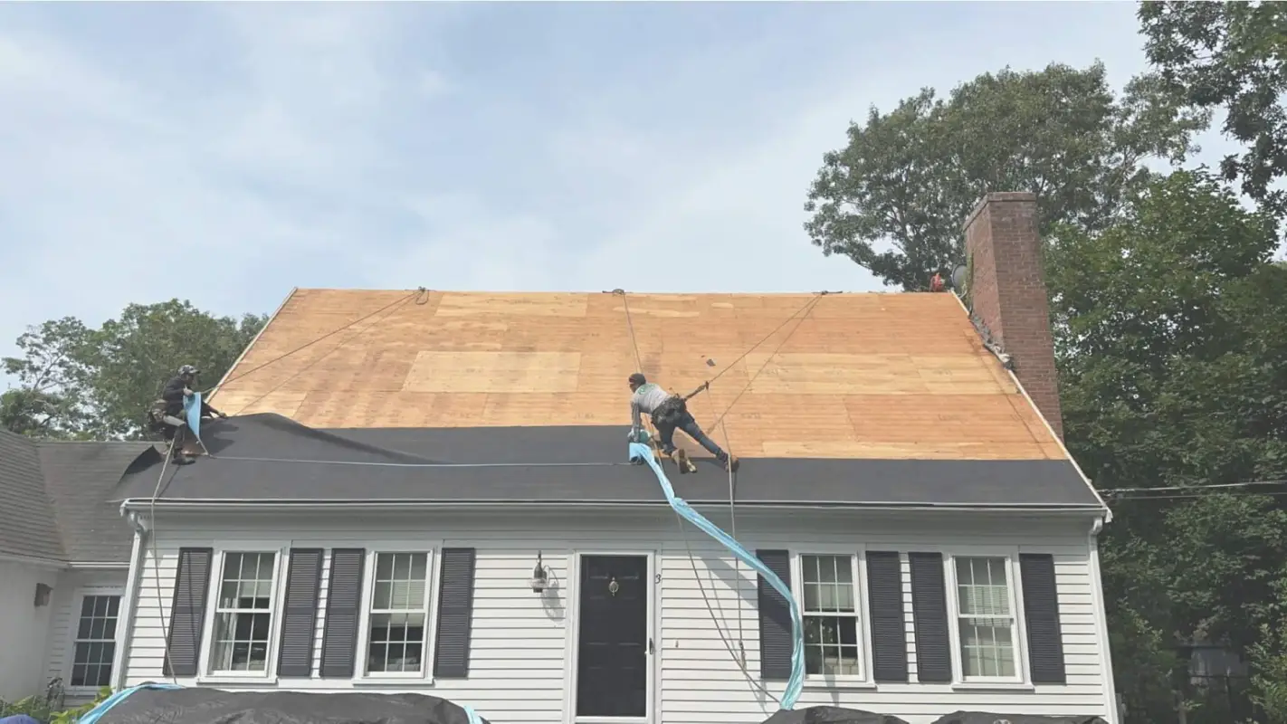 Roof Replacement Cost: Smart Investment, Solid Roof