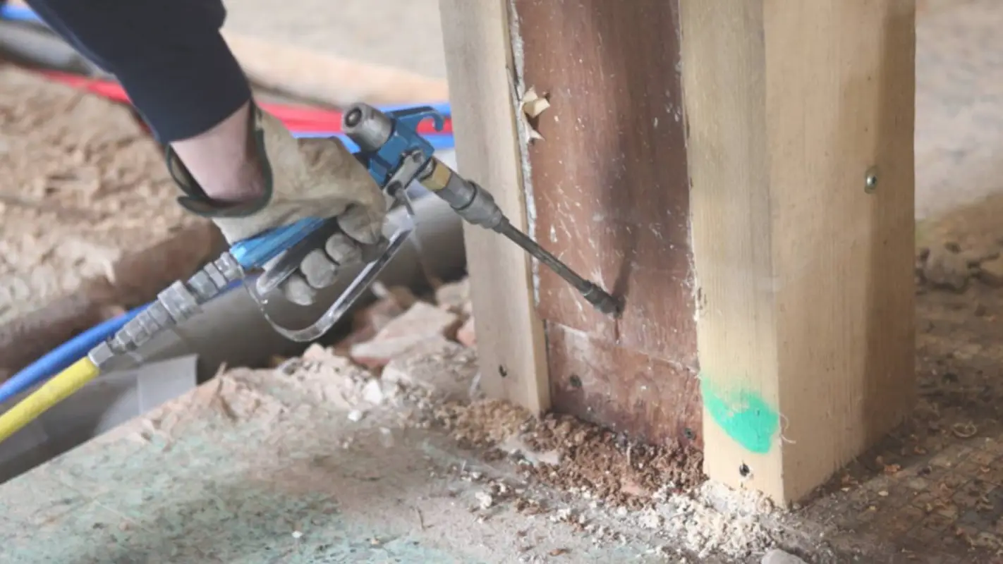 Termite Control Services: Excellent Results Promised!