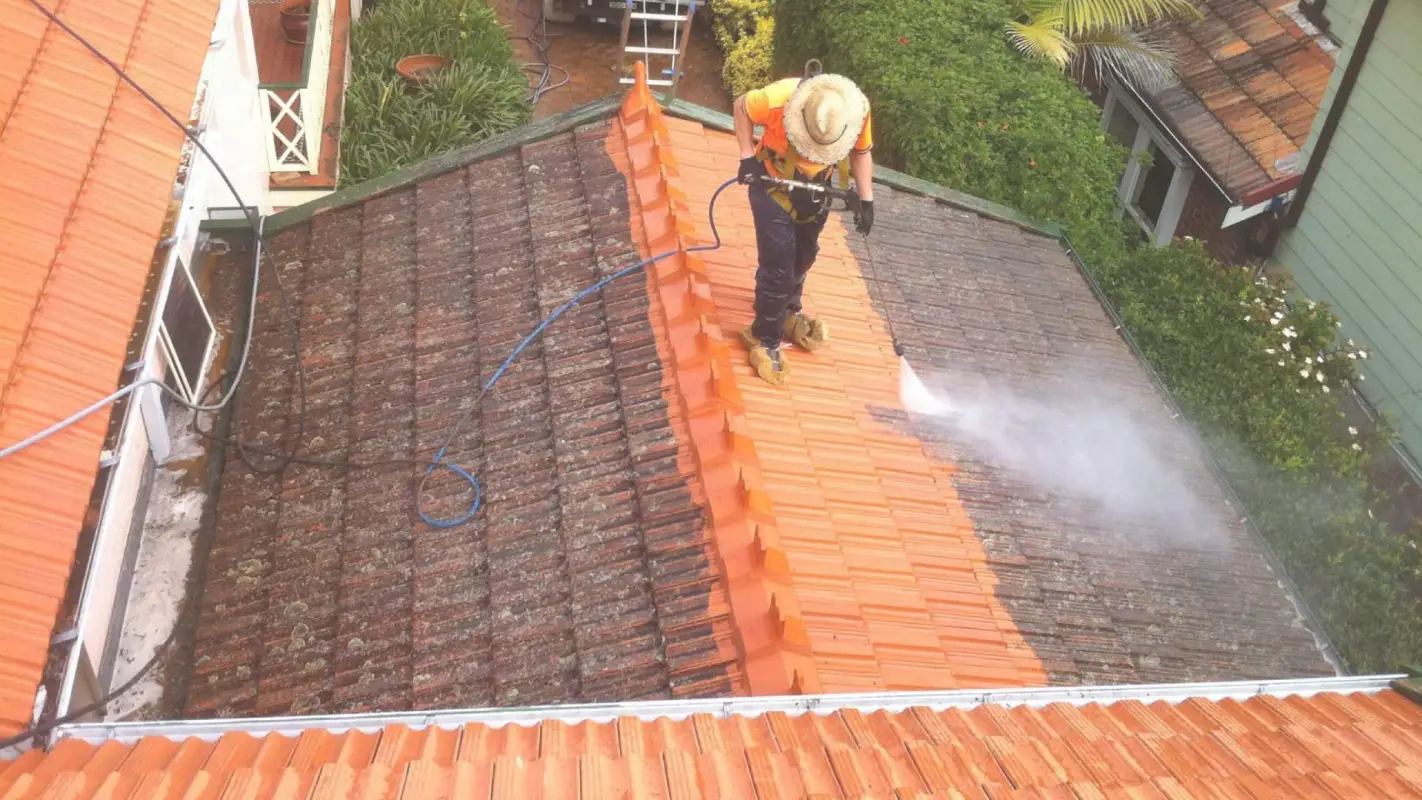 Banish the Moss, Shine Like a Boss with our Residential Roof Cleaning