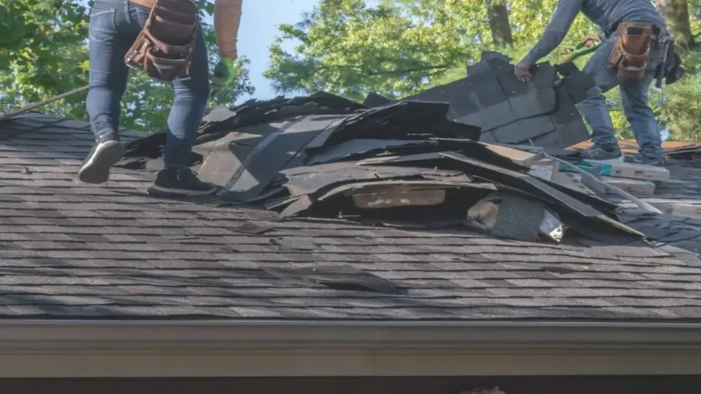Looking For Affordable Roof Repair Near Me? We Are the Best