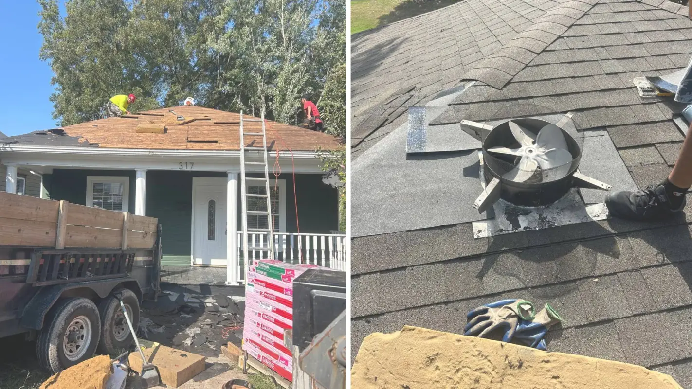 Surveying for Roof Repairs Near Me? Hire us now