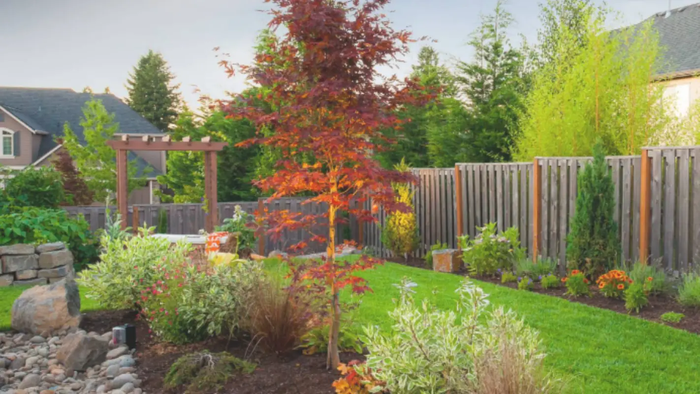 Landscaping Services to Enjoy Lush Lawns