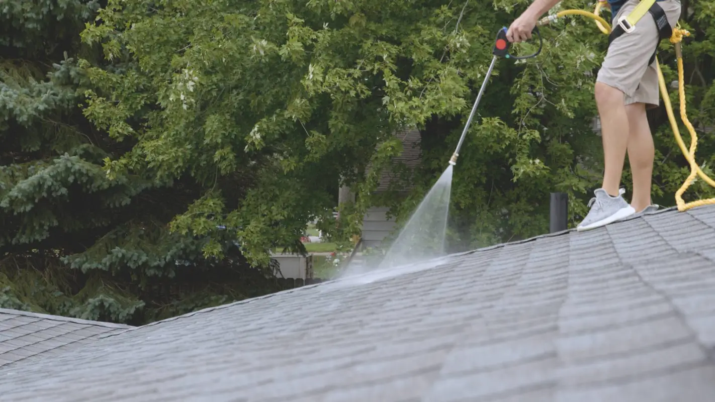 Roof Rejuvenation Services You Can Trust!