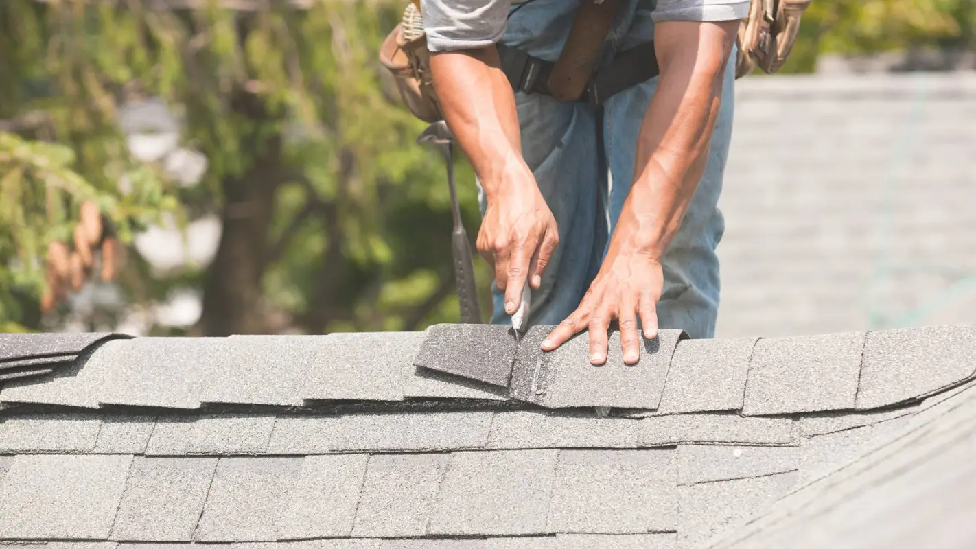 Roof Repair Services: Secure Homes Begin with Solid Roofs