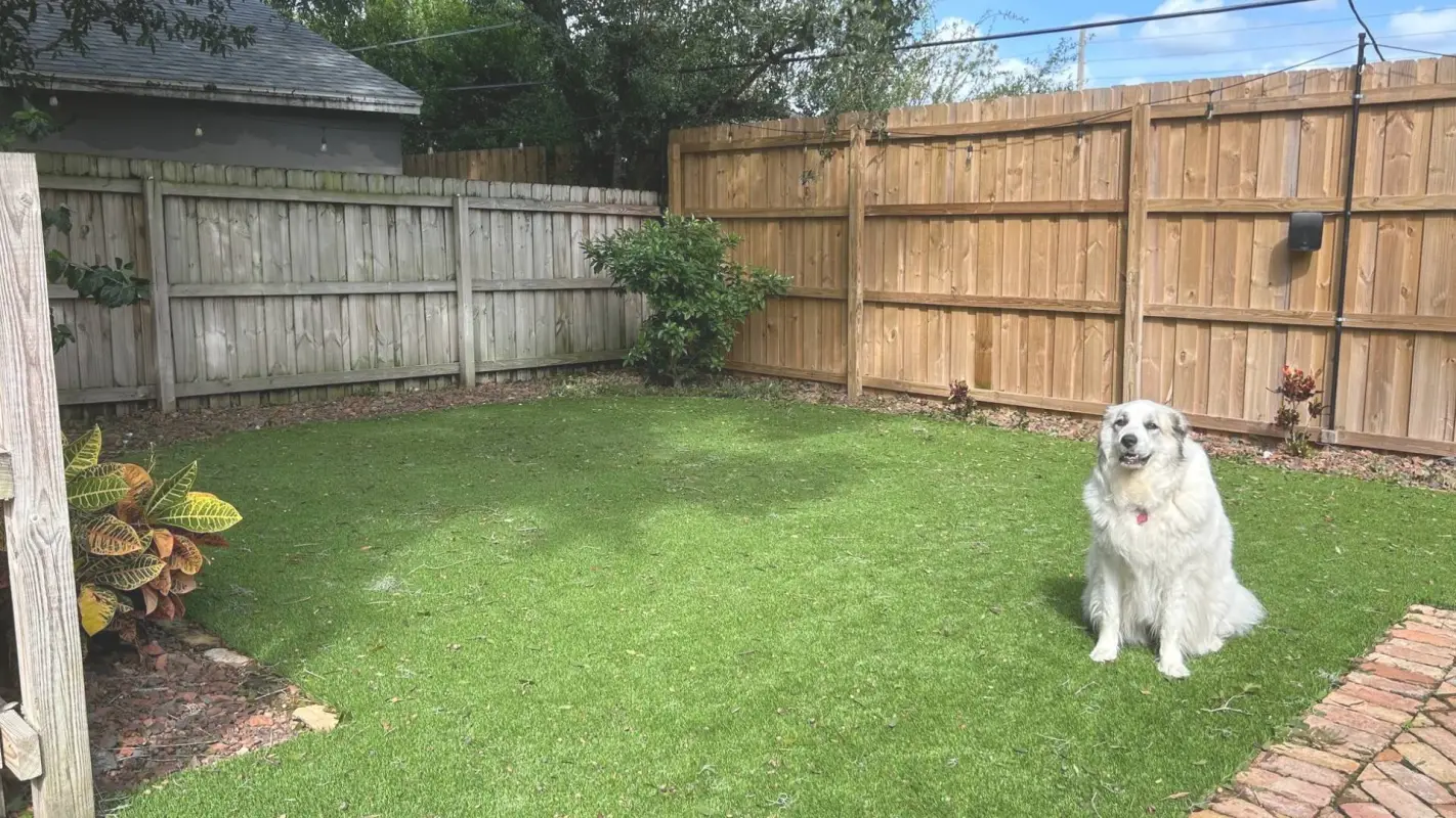 Creating Beautiful Spaces By Installing Artificial Turf for Dog Runs