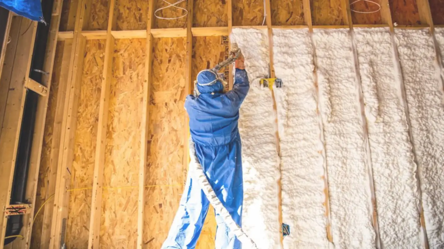 Professional Spray Foam Insulation Companies You Can Rely On