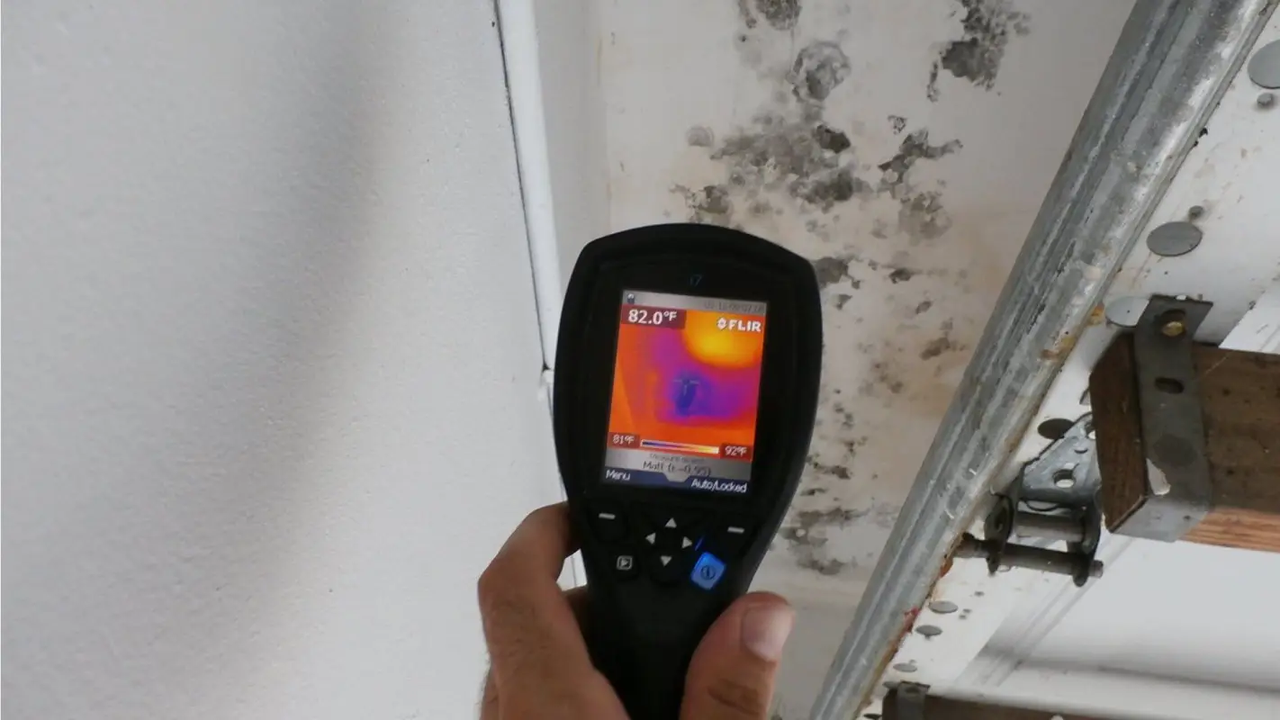 Mold Inspection And Testing, Your Health Is Our Priority!