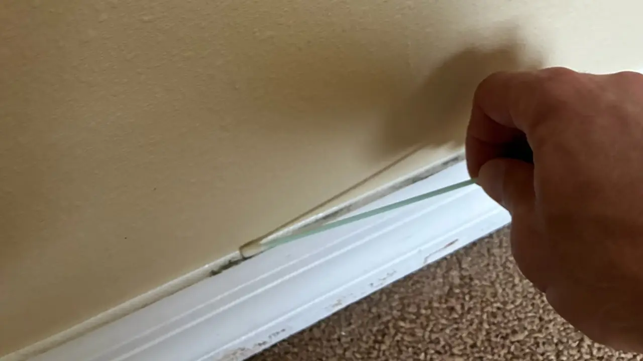 Mold Assessment Services: We Crack Every Corner We Assess!