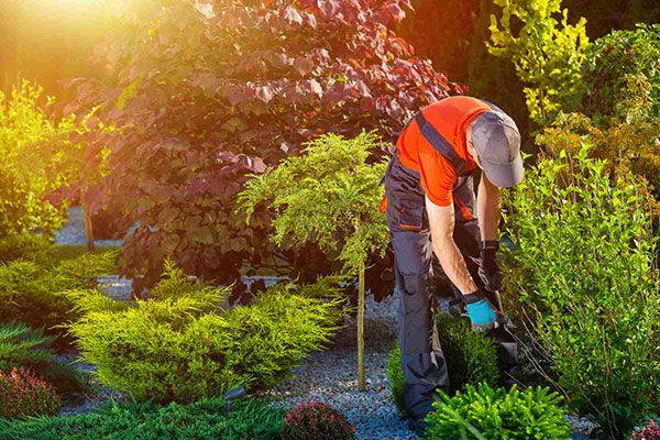 Landscaping Services Provo UT