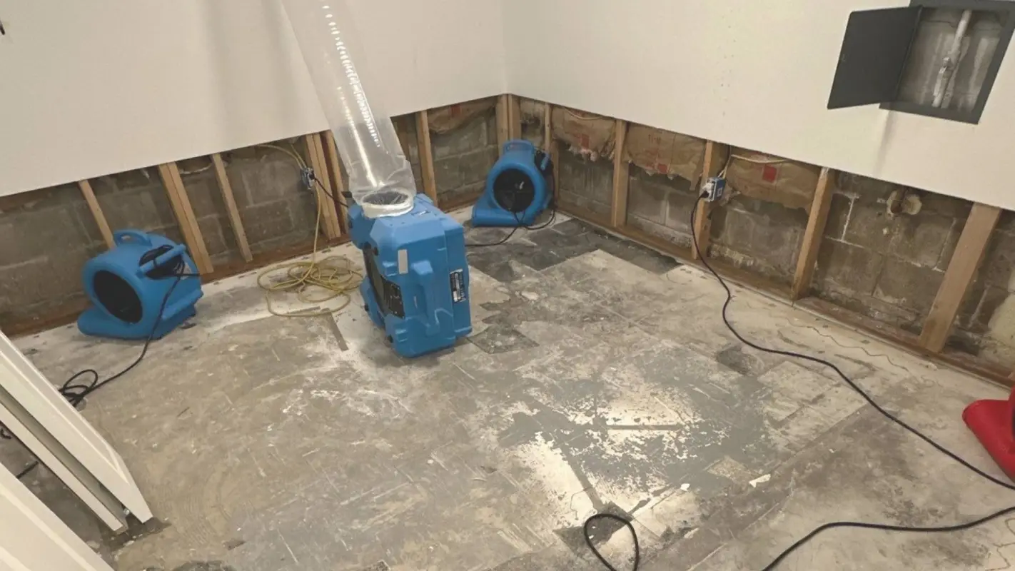 Water Damage Restoration to Prevent Further Damage