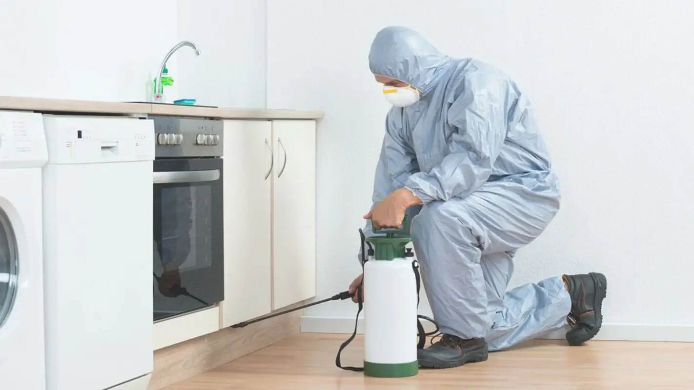 Pest Management Services for Your Peace of Mind
