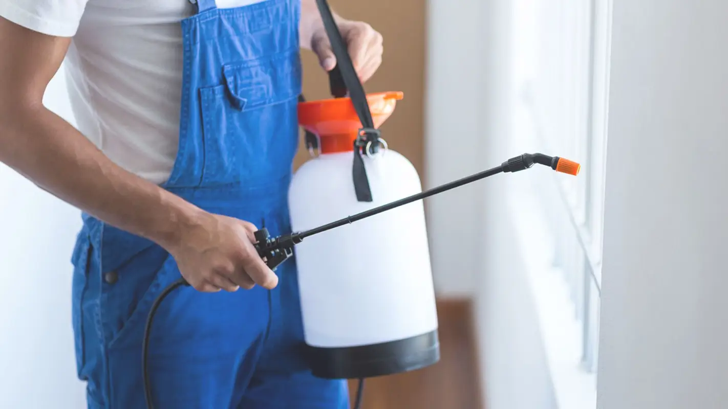 Best Pest Control Company That You Can Rely On