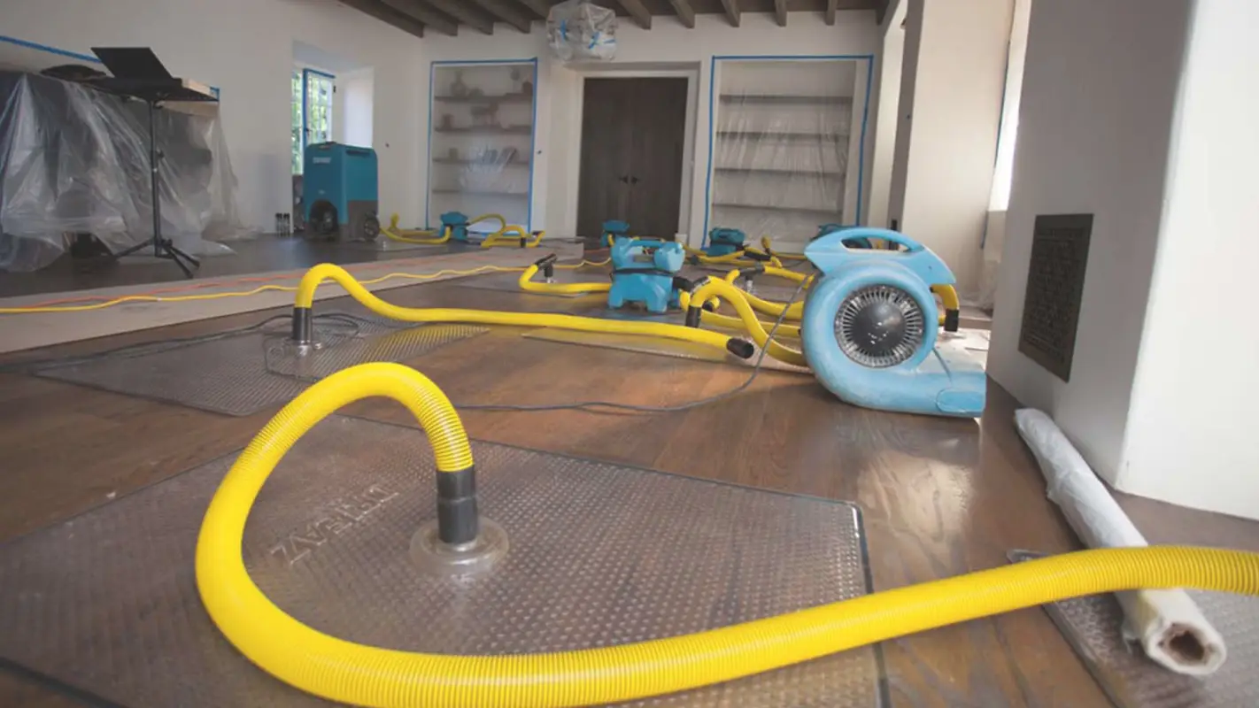 Save Your Home with Quality Water Damage Restoration Services