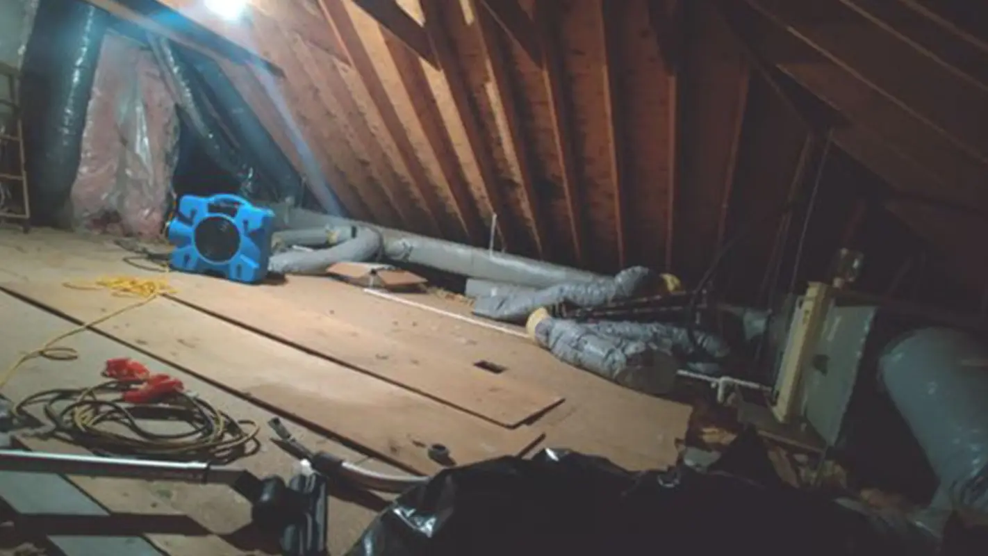 Water Damage Restoration Company To Eliminate The Trace