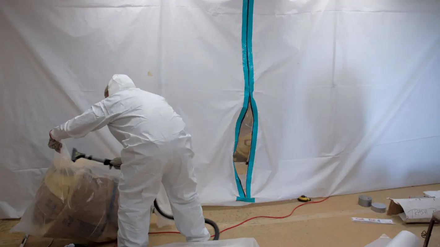 Local Mold Remediation Company, You Can Rely On