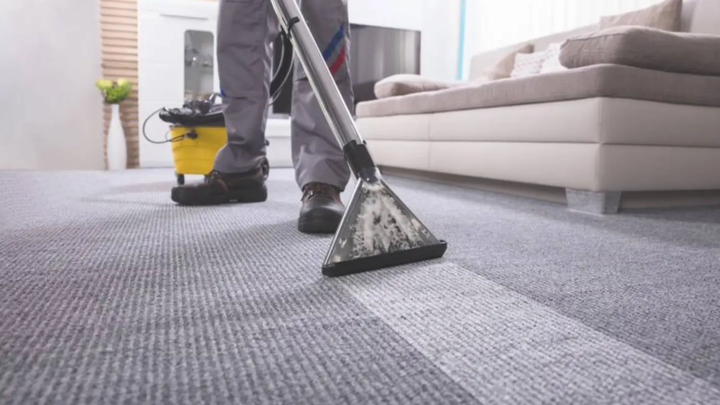 Best Carpet Cleaning Service To Experience Carpet Perfection