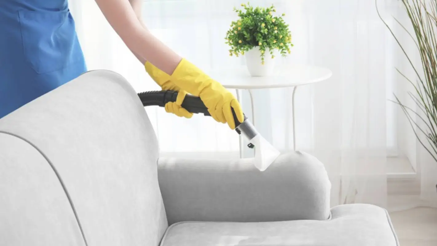 Halt Your Quest for “Upholstery Cleaning Near Me”. Hire Us!