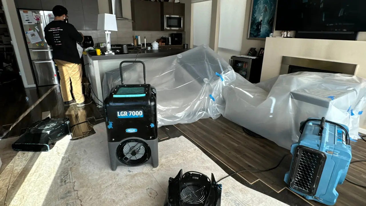 Looking for a Water Mitigation Company Near Me? We Are Experts