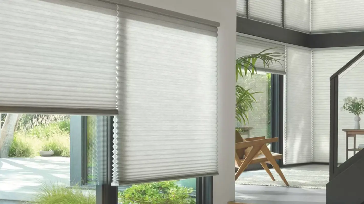 End Your Quest for Hunter Douglas Blinds Near Me and Let the Light in
