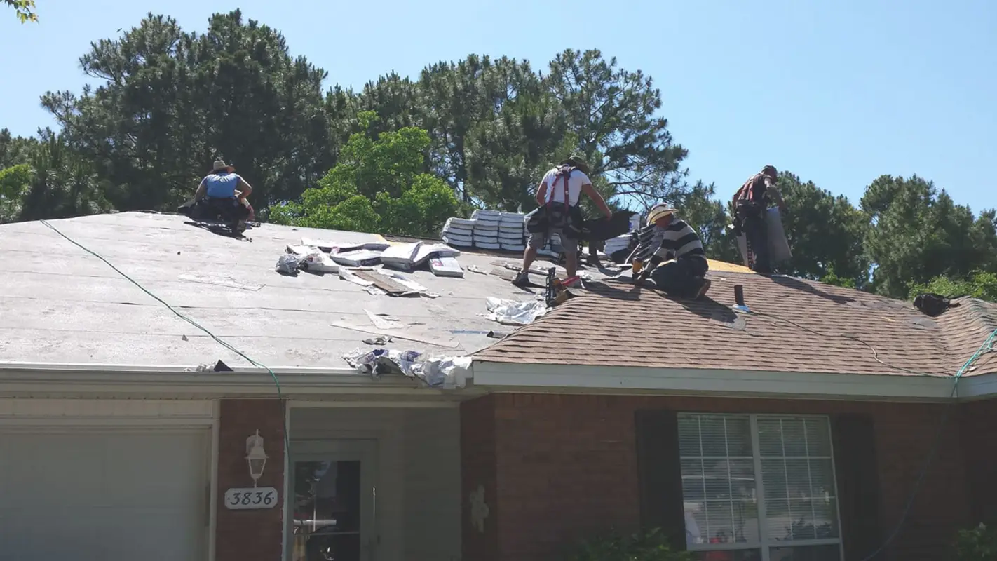 Roof Damage Repair Services to Avoid Costly Replacements