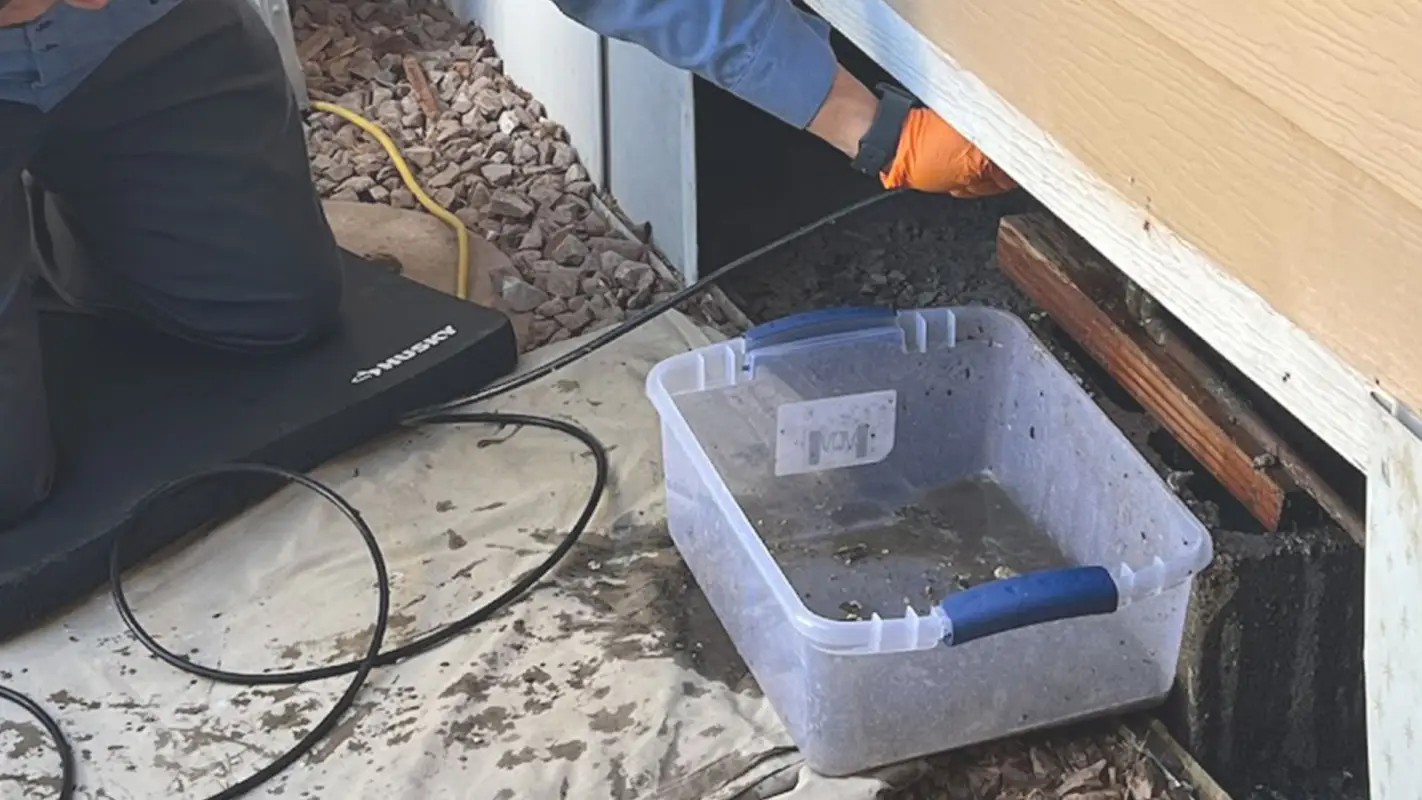 Affordable Drain Cleaning Services That Shine Above The Rest