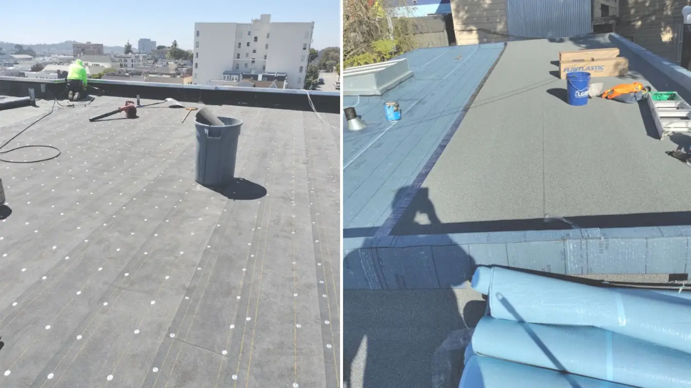 Elevate Your Roofs With Affordable Flat Roof Waterproofing.