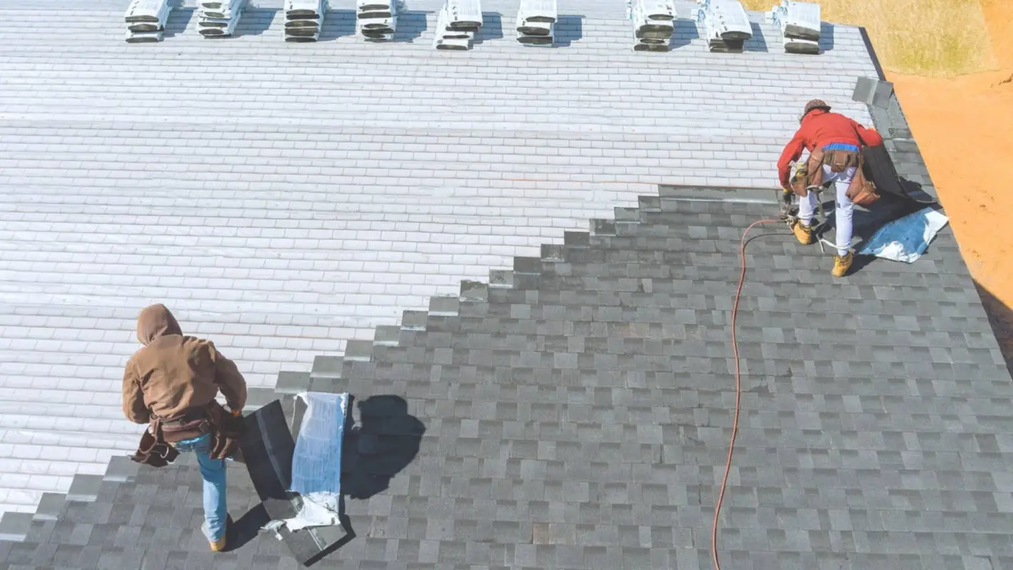 Your Search for Affordable Shingle Roof Services Near Me Ends Here!