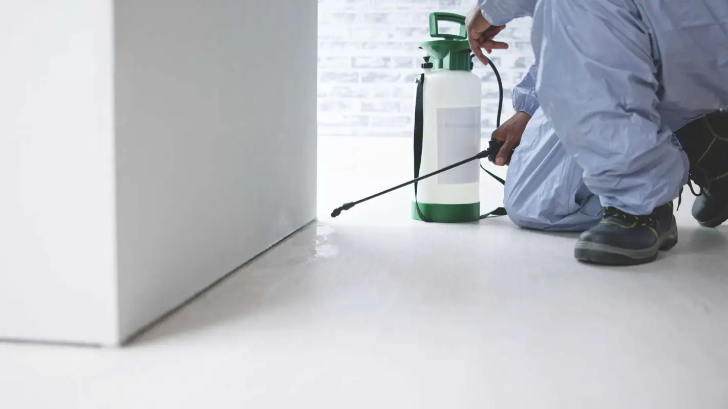 Call The Experts for Quality General Pest Control Services
