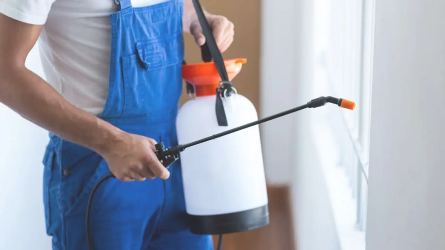 Looking For the Best Pest Management Company? Hire Us!