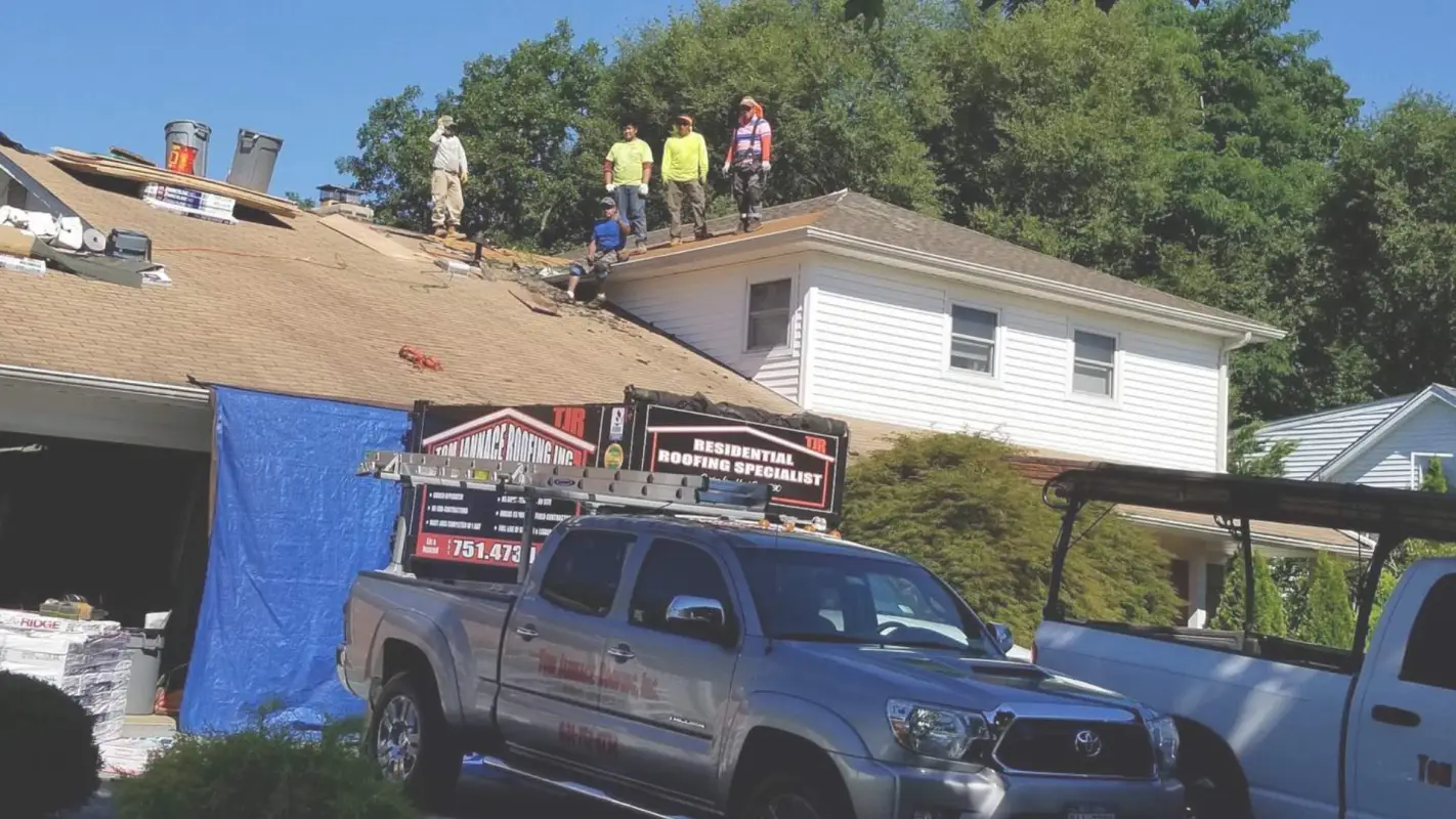Roof Installation Experts Is Your Trusted Partner For A Secure Roof