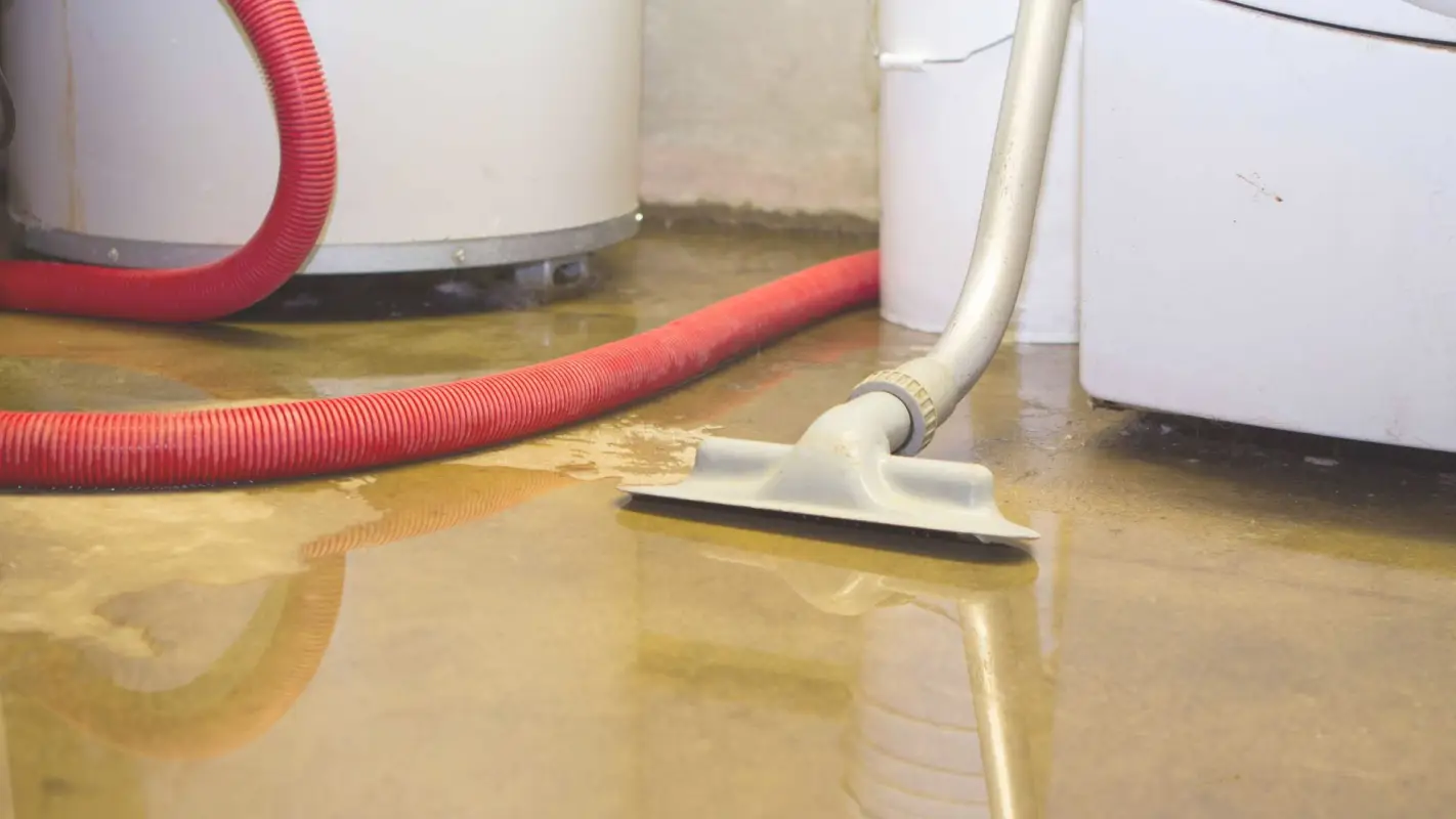 Don’t Search Further for Water Damage Cleanup Near Me