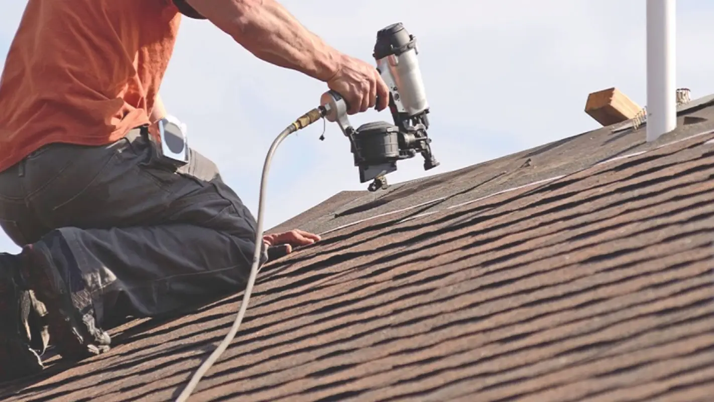 Searching For Local Roof Leak Specialists Near Me? We are experts