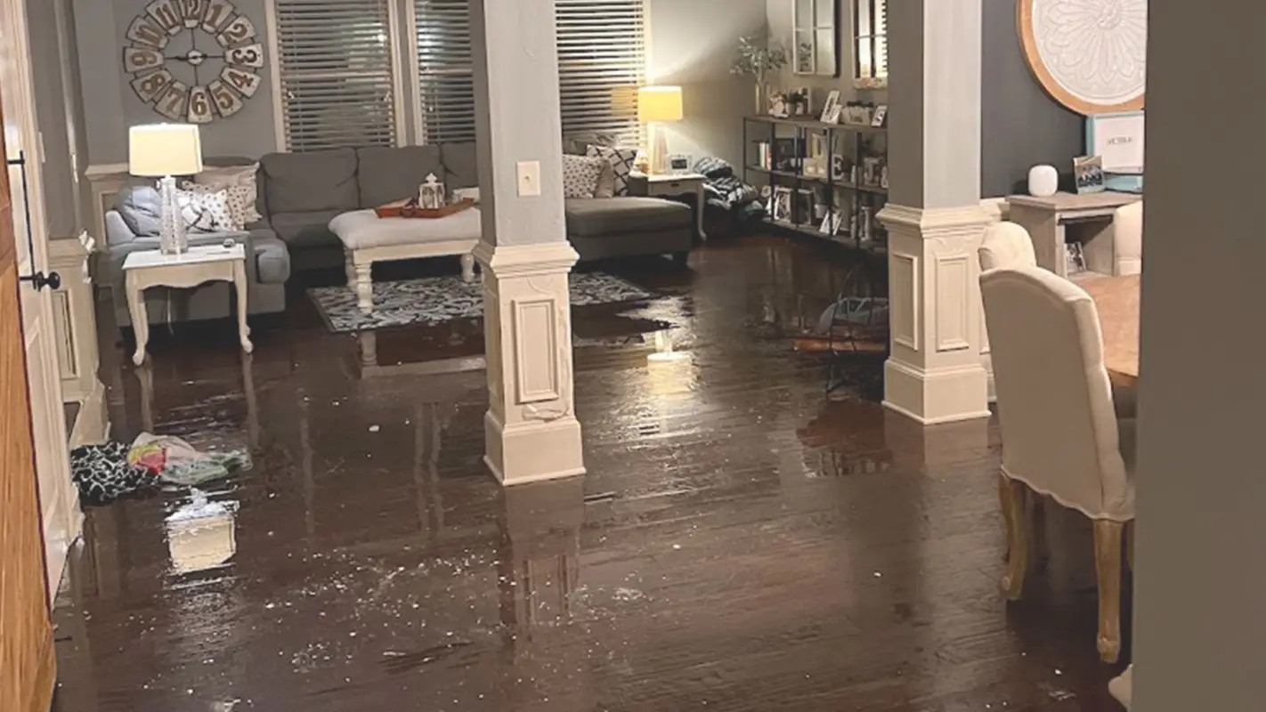 End Your Quest For “Water Damage Removal Company Near Me & Book Us!