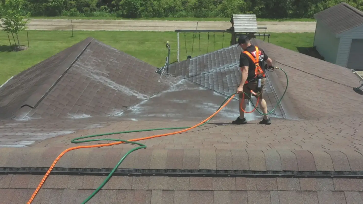 Roof Shingle Rejuvenation With Your Satisfaction Guaranteed