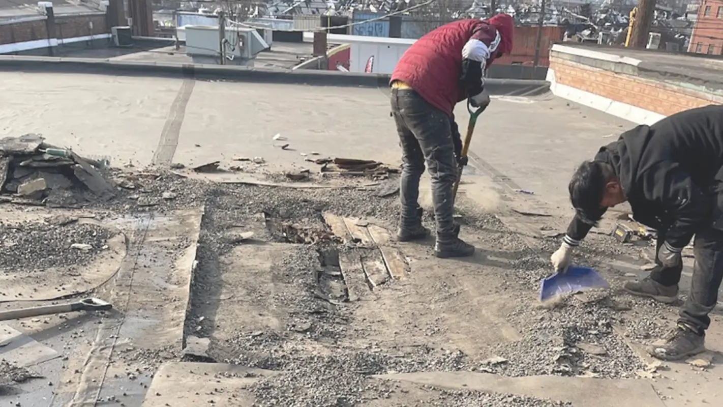 Roof Repair Cost for Uniting Form and Function